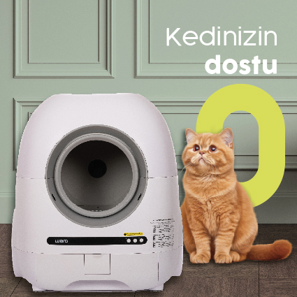 Kedinizin En Yakın Dostu