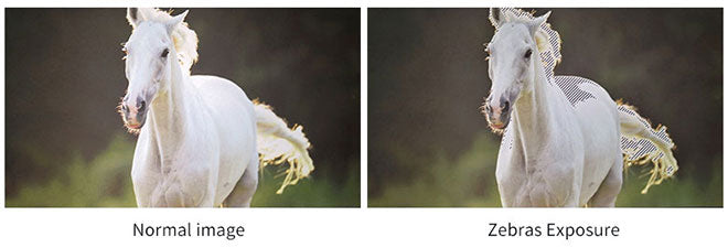 zhiyun vinç v2 monitör