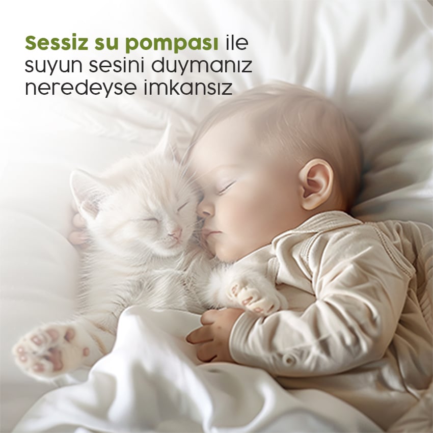 Sessiz Pompa