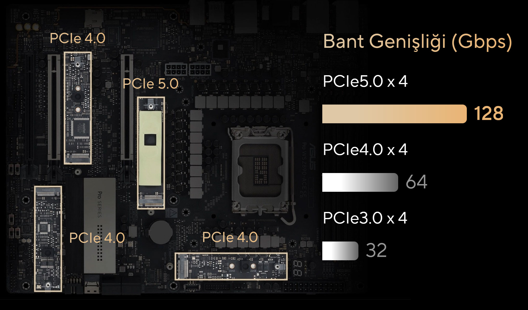 Pro WS Z890-ACE SE