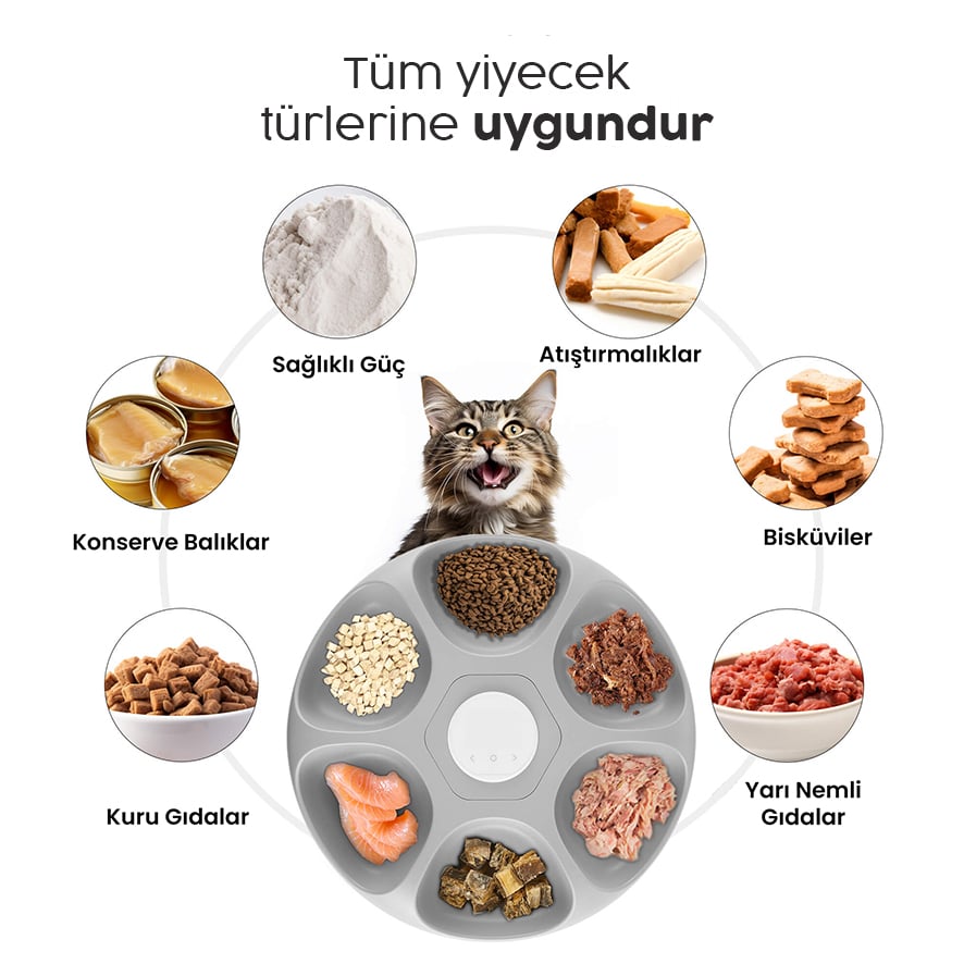 Çeşitli Gıda Seçenekleri