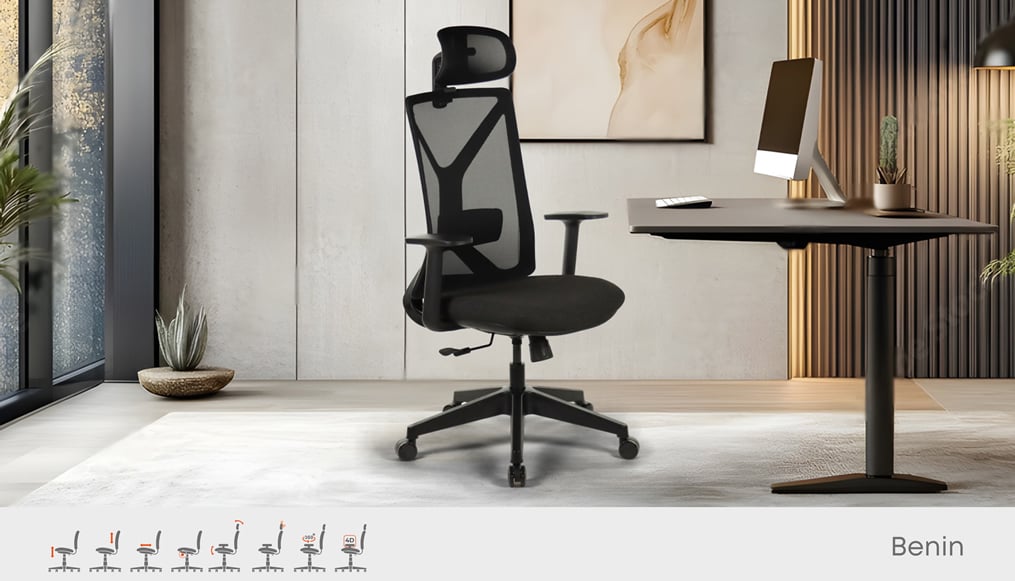 Benin Sabit Kol Yönetici Koltuğu