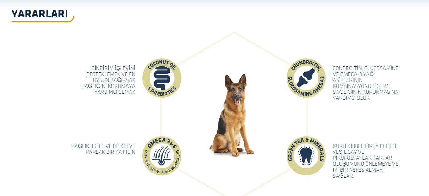 Advance German Shepherd Hindili Yetişkin Köpek Maması