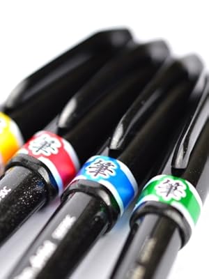 Pentel Artist Detaylı Resim