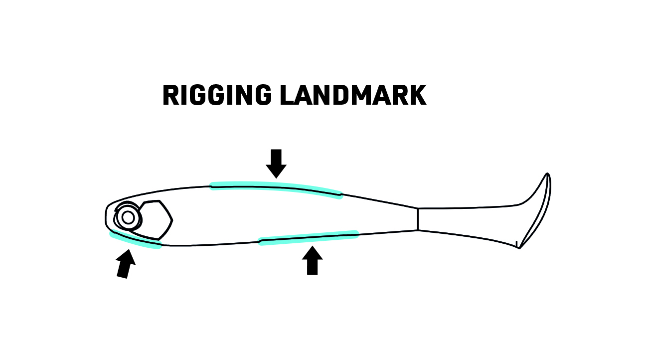 Rigging Landmark