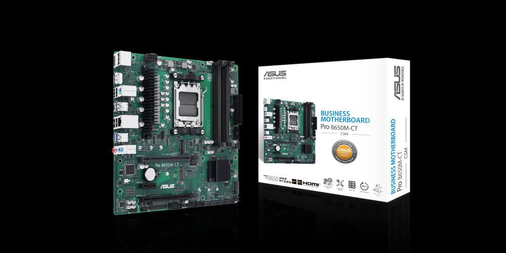 Pro B650M-CT-CSM