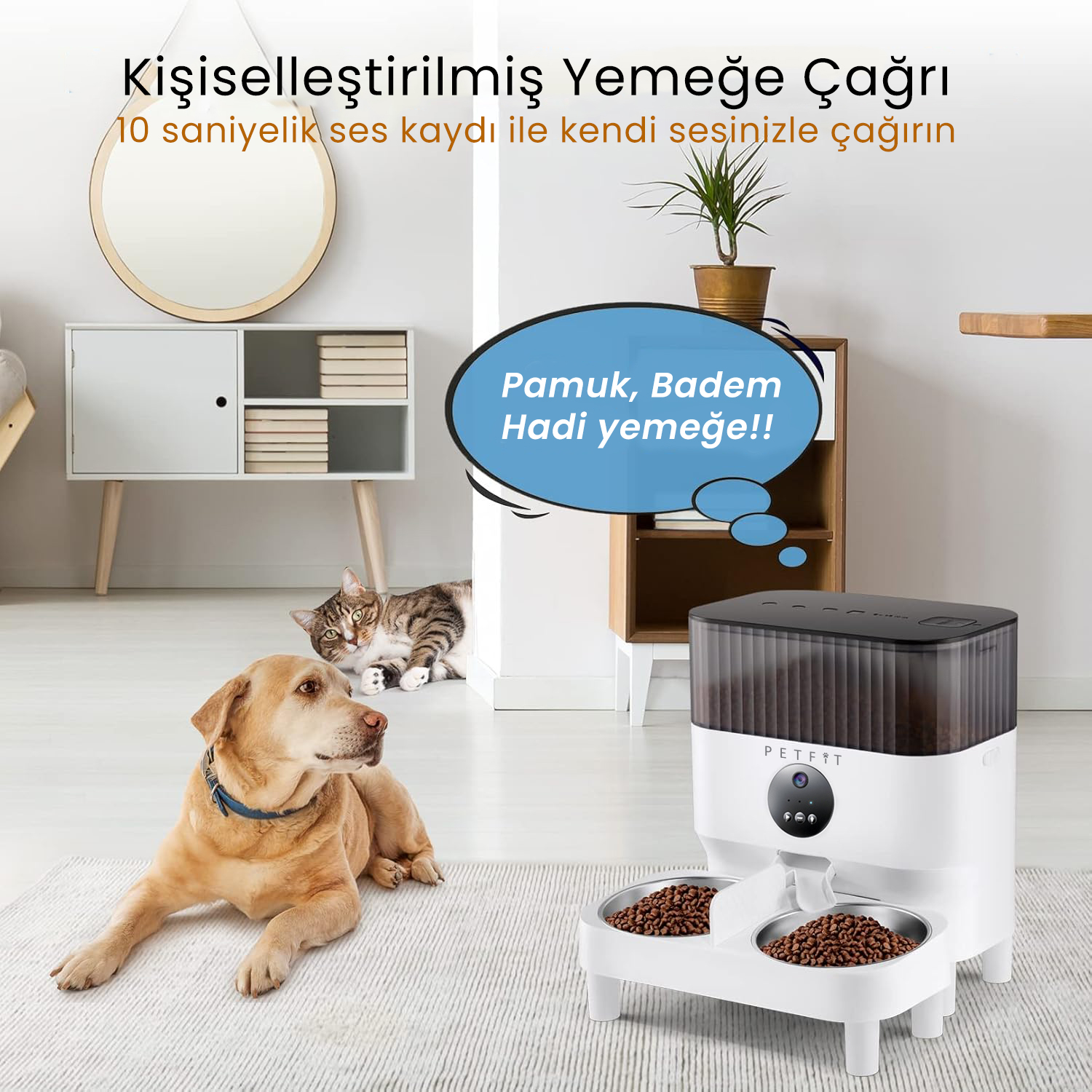 PETFİT