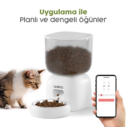 Uygulama ile Planlı ve Dengeli Öğünler
