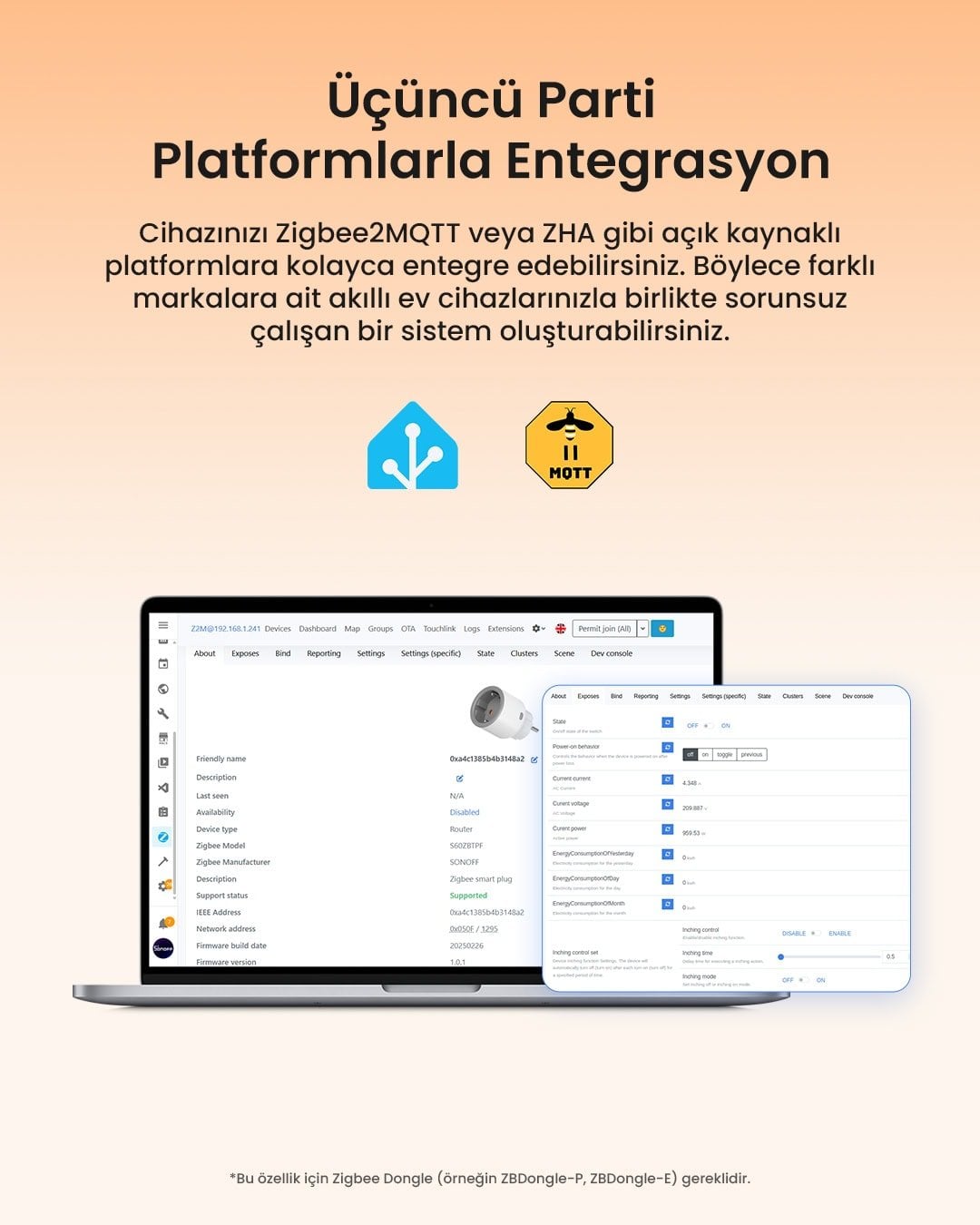 SONOFF S60 ZigBee Akıllı Priz