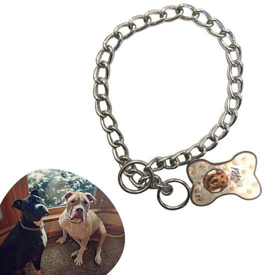 ANKAVERSE® Zincir Model Köpek Tasması