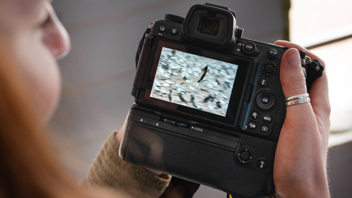 Z 6III