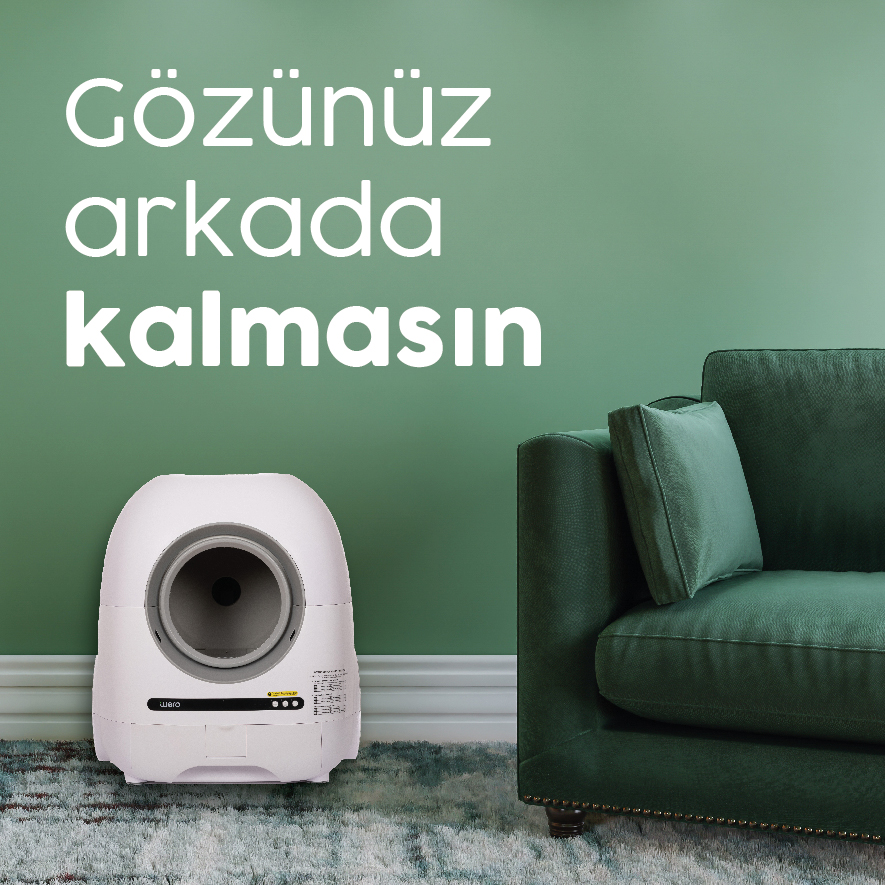 Gözünüz Arkada Kalmasın