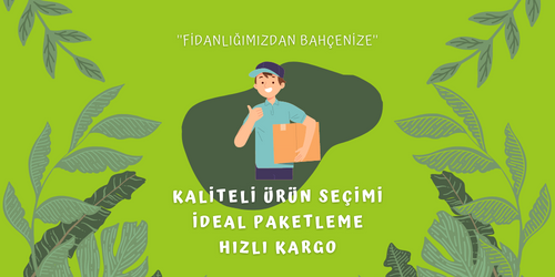 FS_gönderim_BANNER
