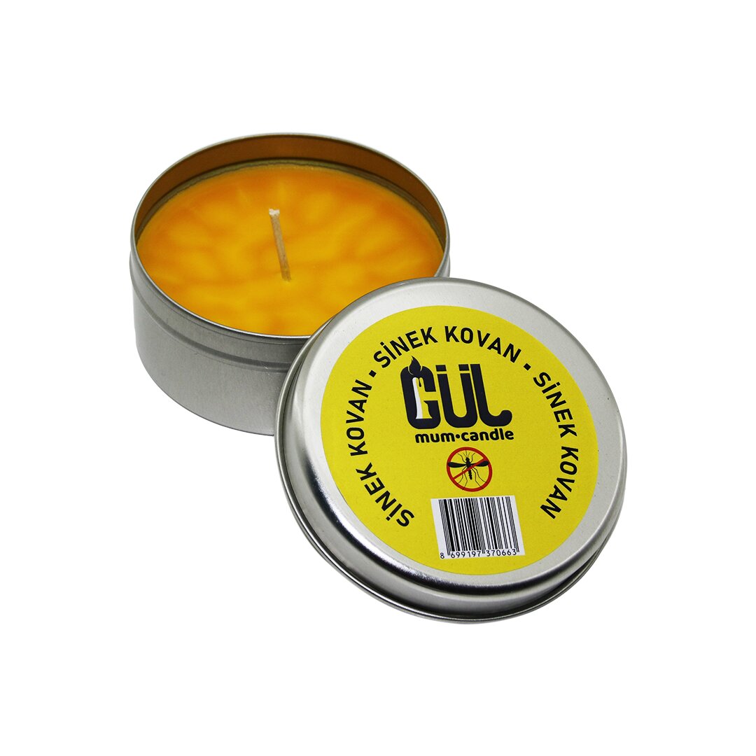 ANKAVERSE® MUM CANDLE Sinek Kovan Mum Teneke Kutu
