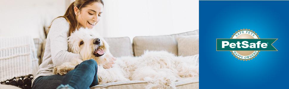 Sahibinin yanında kanepede yatan köpek