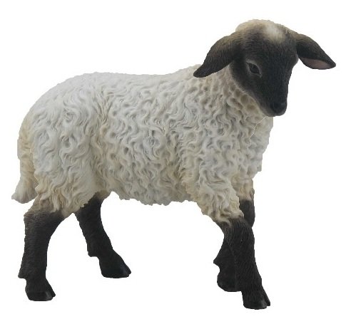 WU76101AA Veronese Kuzu Biblosu