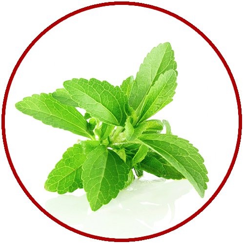 Stevia Kırmızı.jpg (194 KB)