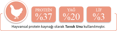 Havyansal protein kaynağı olarak sığır eti proteini kullanılmıştır.