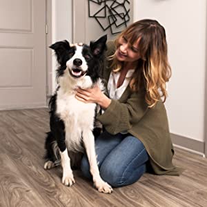 yaşam tarzı köpek kadın
