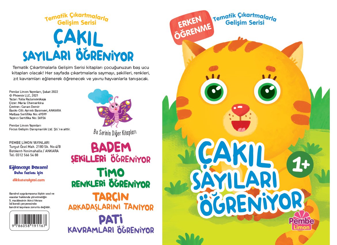 Çakıl Sayıları Öğreniyor