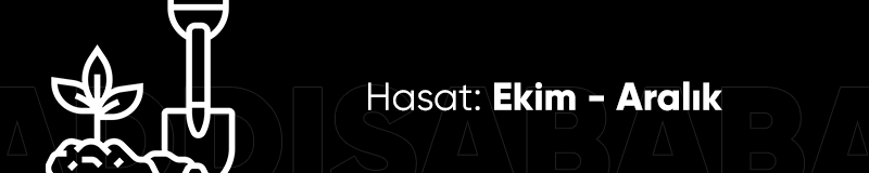 prapazar.com pazaryeri hepsiburada entegrasyonu