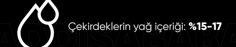 prapazar.com pazaryeri hepsiburada entegrasyonu