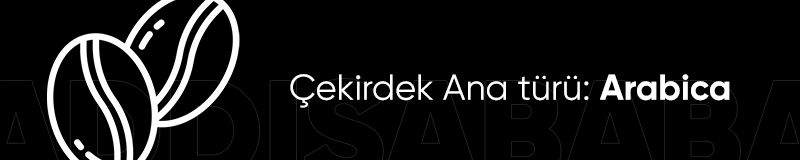 prapazar.com pazaryeri hepsiburada entegrasyonu