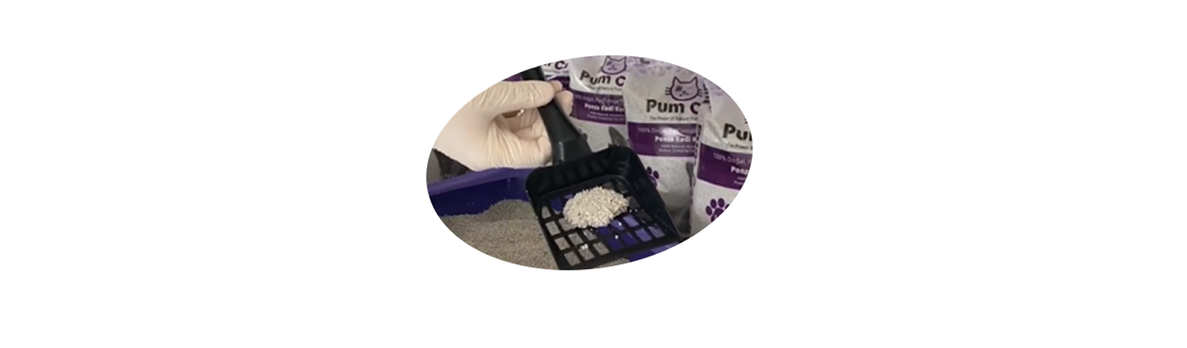 Pumice World Pum Cat Topaklanan Bentonit Kedi Kumu, 5 Litre Fiyatı
