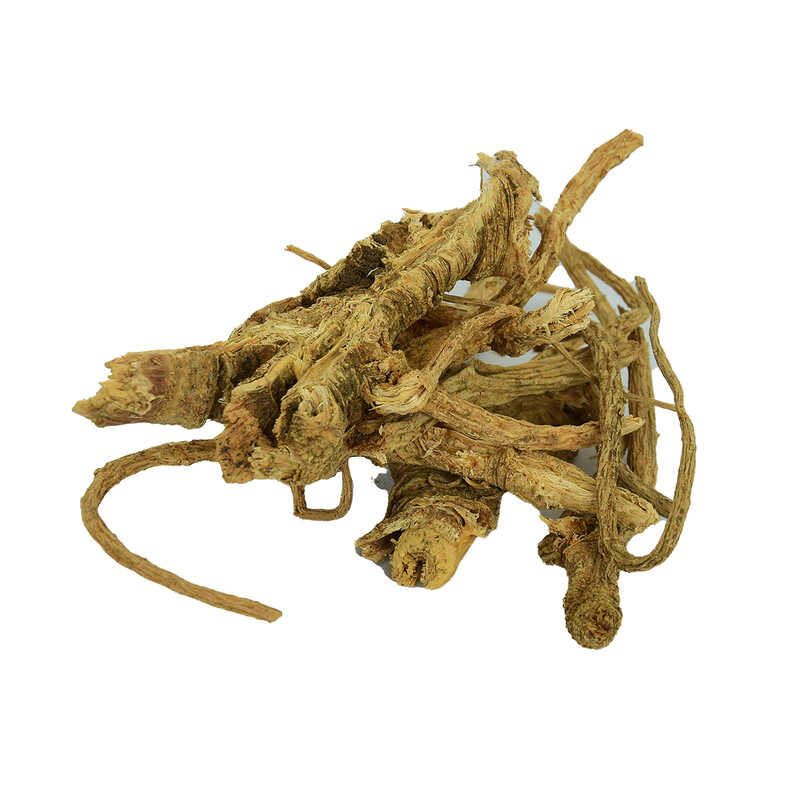 LOKMANAVM DOĞAL MELEKOTU KÖKÜ