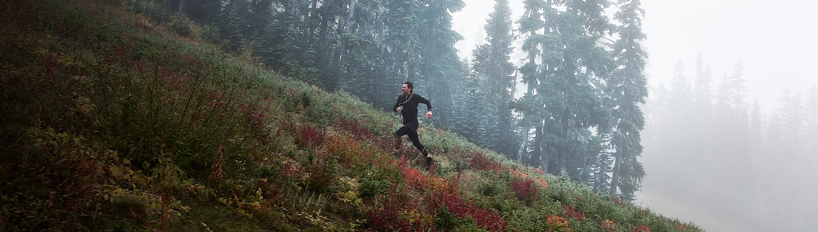 Garmin Forerunner 955