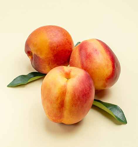 Glohaven Şeftali Fidanı Satışı - Agrolidya