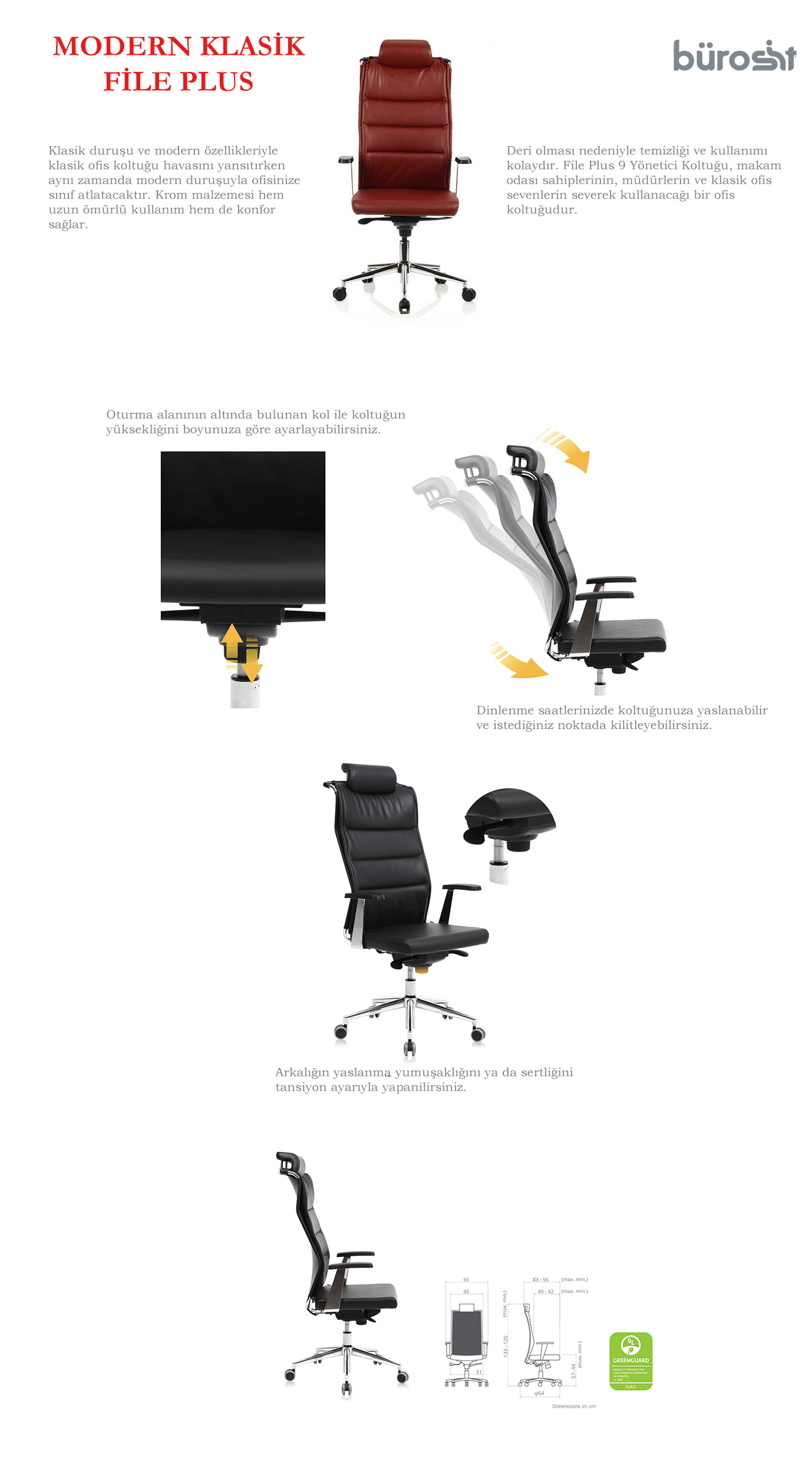 fileplus-9-baslikli-yönetici-koltuğu-detay-gorsel.jpg (234 KB)