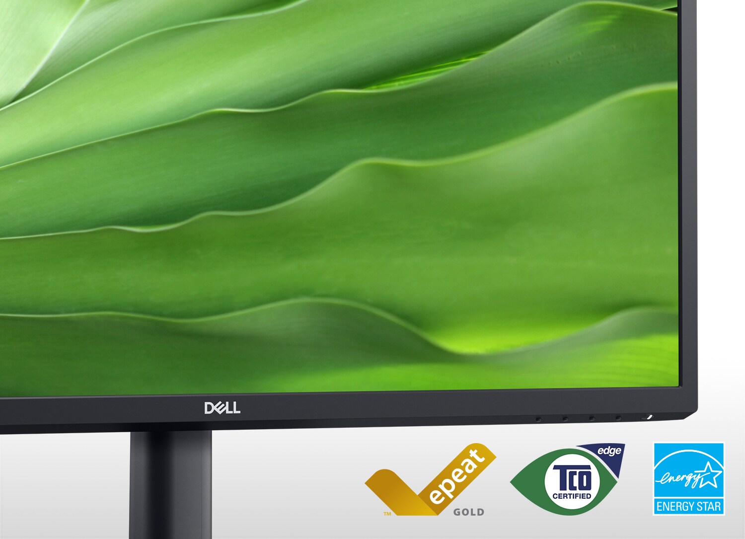 Ekranda Dell E2723H Monitör yeşil yapraklarının resmi.