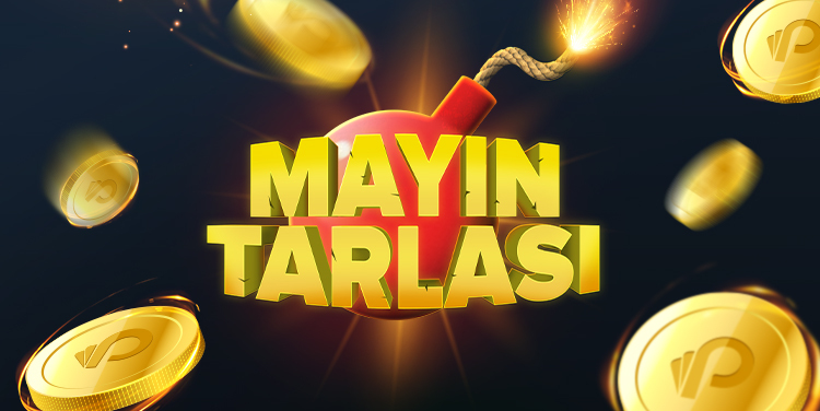 Mayın Tarlası