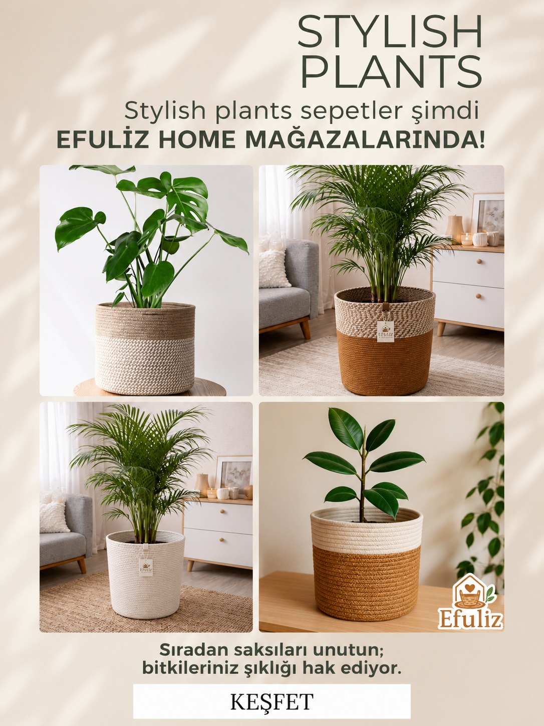 Yeni Koleksiyon