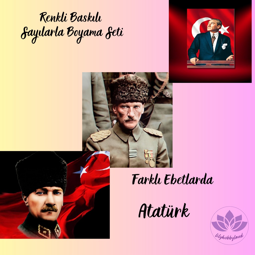 Yeni Koleksiyon