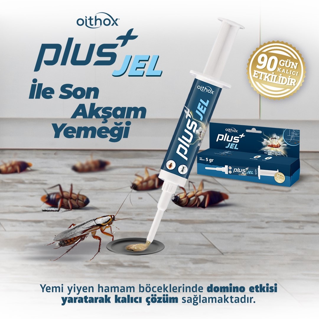 Hamam Böceği ve Karınca İçin