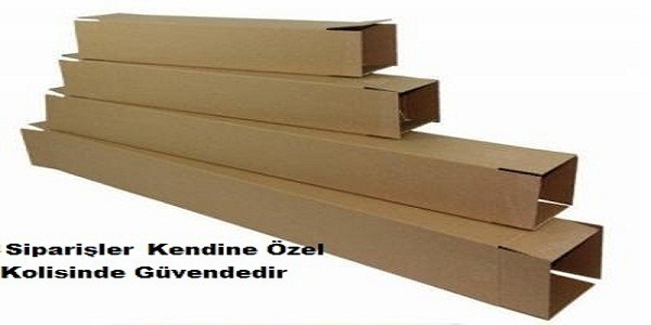 Hızlı Teslimat