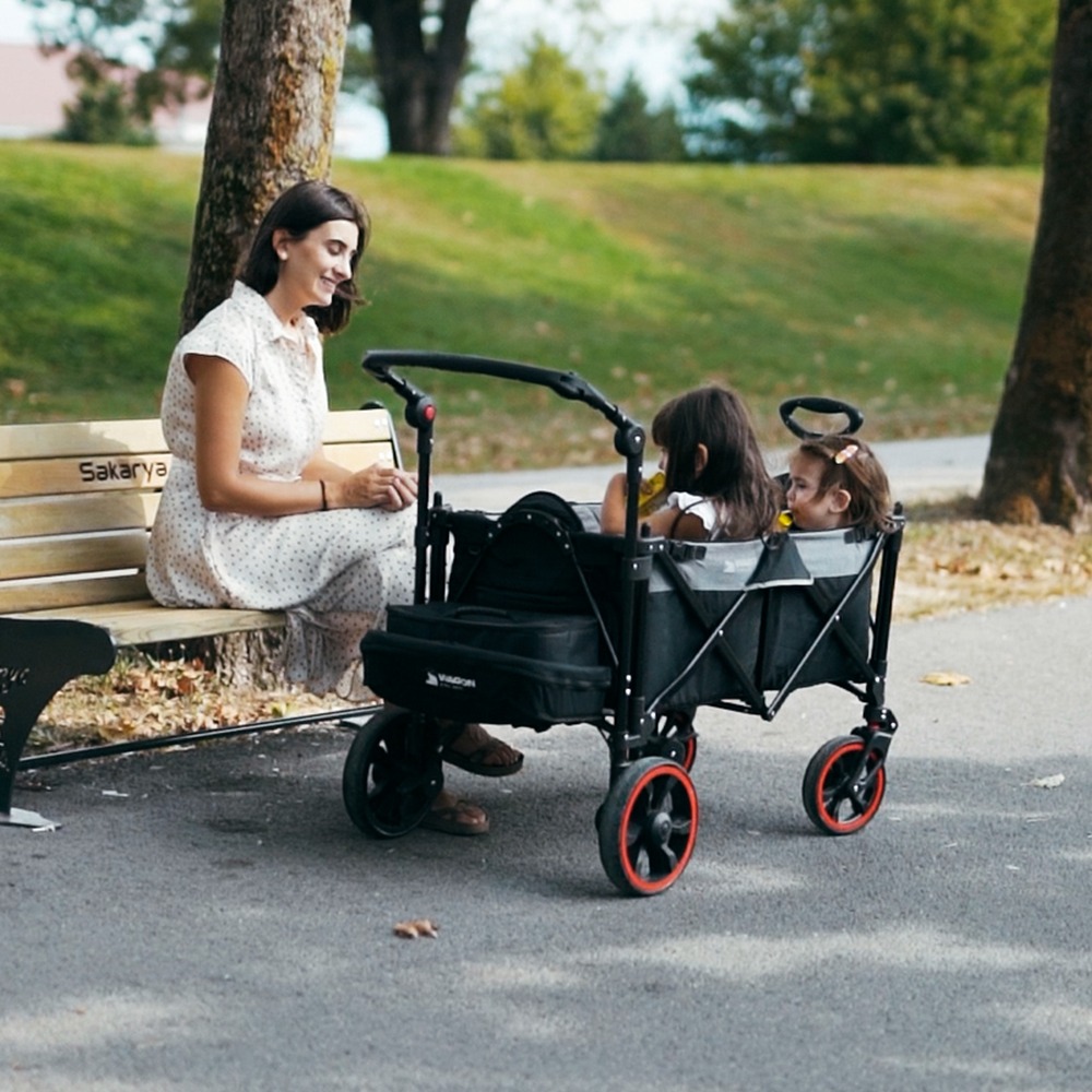 Wagon Drive