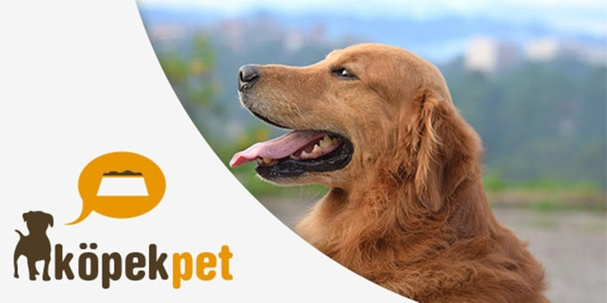 Köpekpet