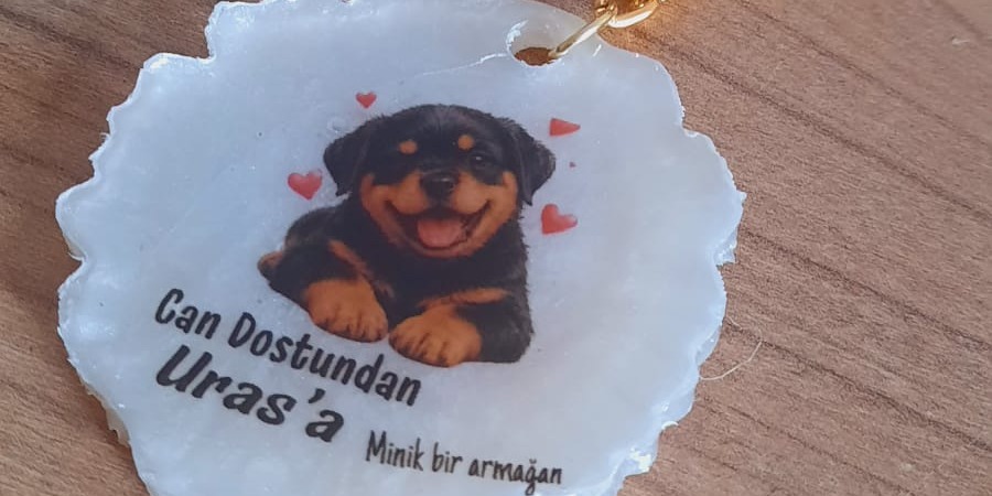 CAN DOSTLAR