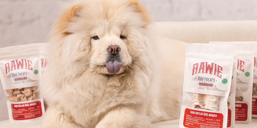 Köpek Ödül Mamaları