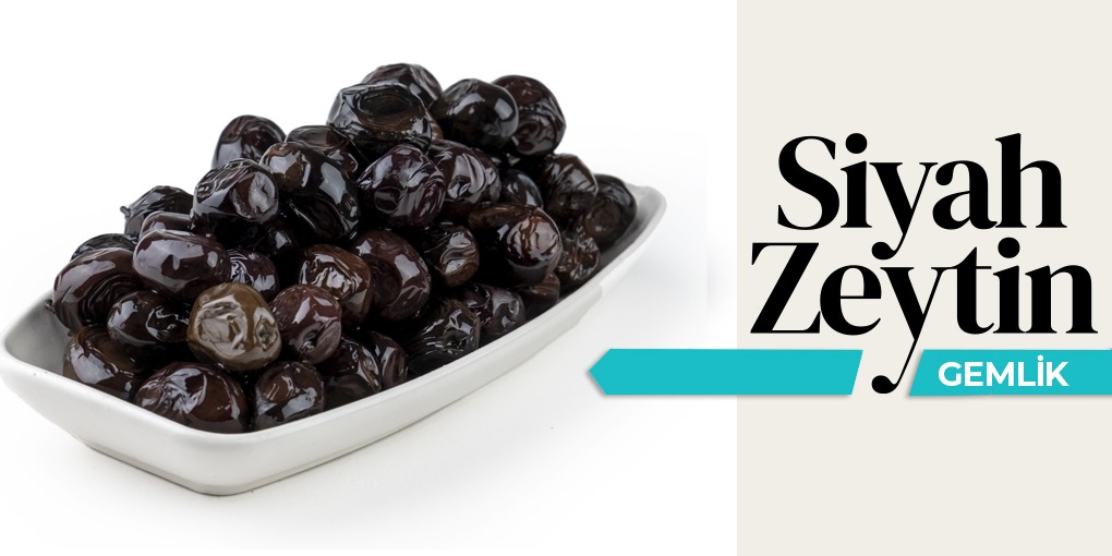 Gold Zeytin XL