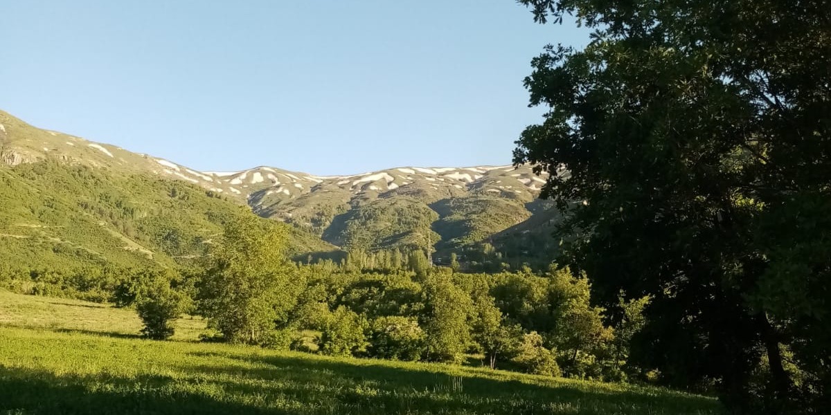 Yaylamız