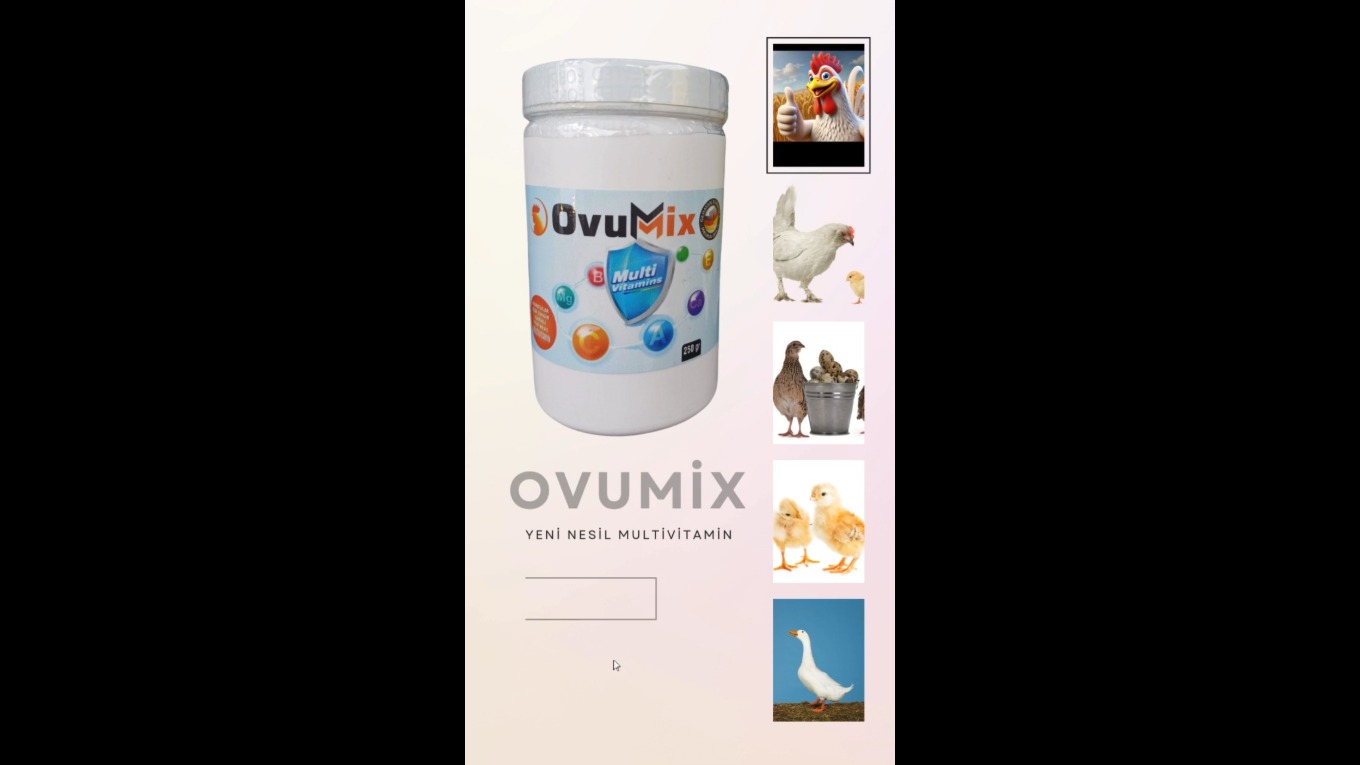 TAVUK MULTİVİTAMİN