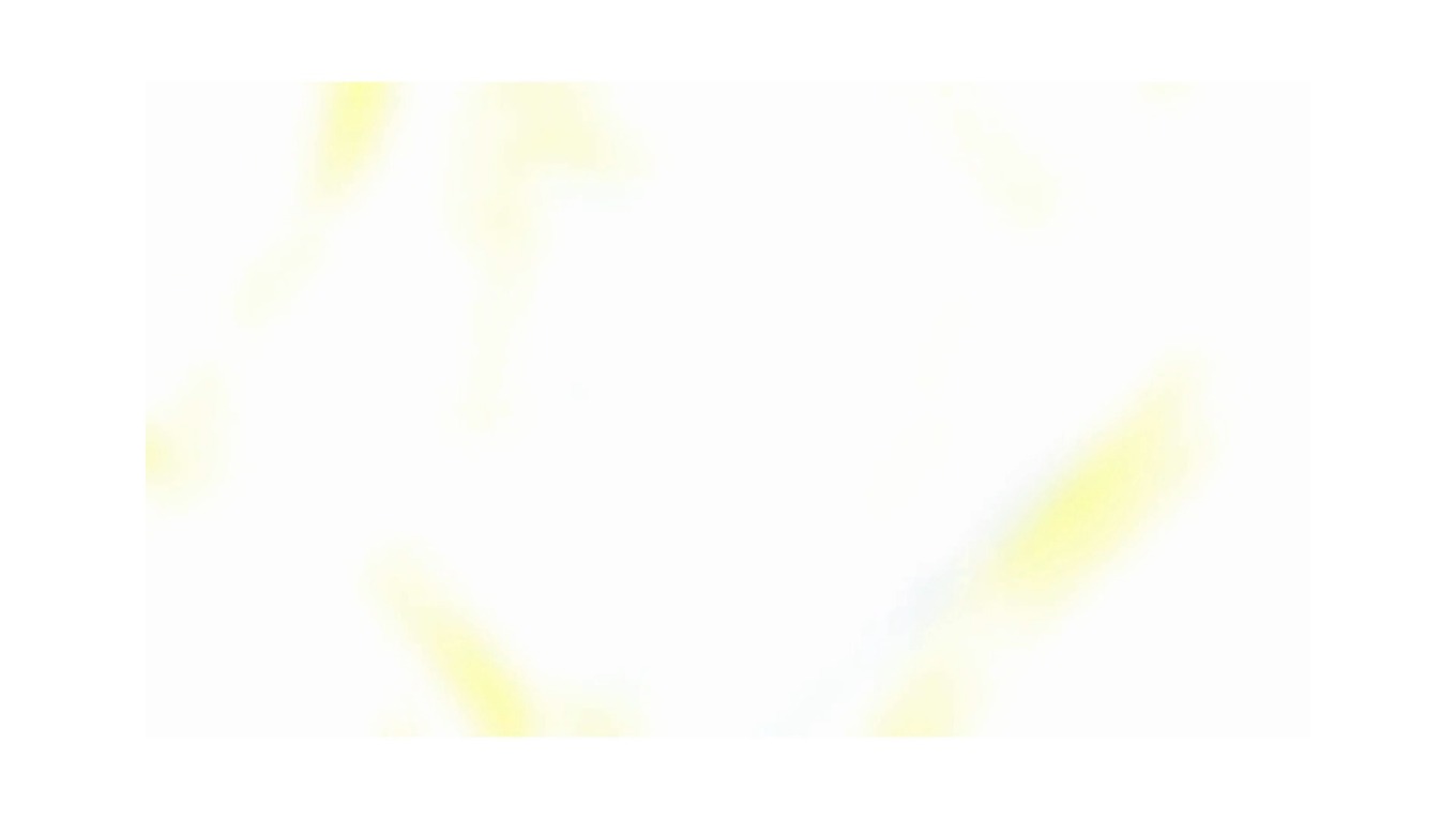 WOODEN BLİNDS DOĞAL AHŞAP JALUZİ 