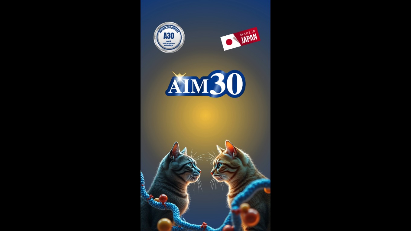 Video Banner