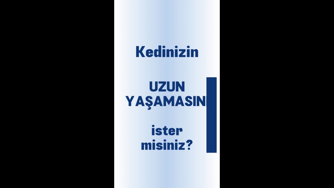 Video Banner