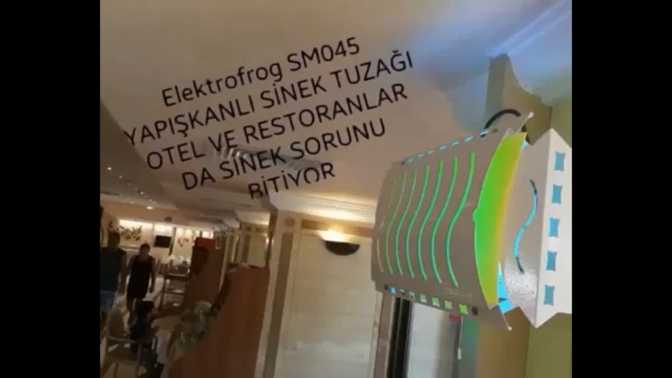 Video Banner