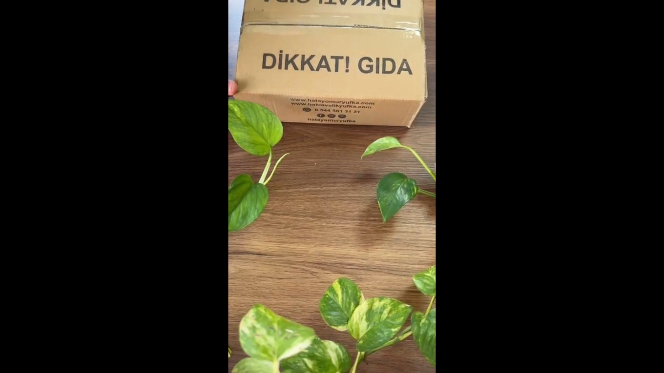 Video Banner